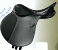 /album/fotogalerie-pro-vsestranost/a11-jpeg-gif/